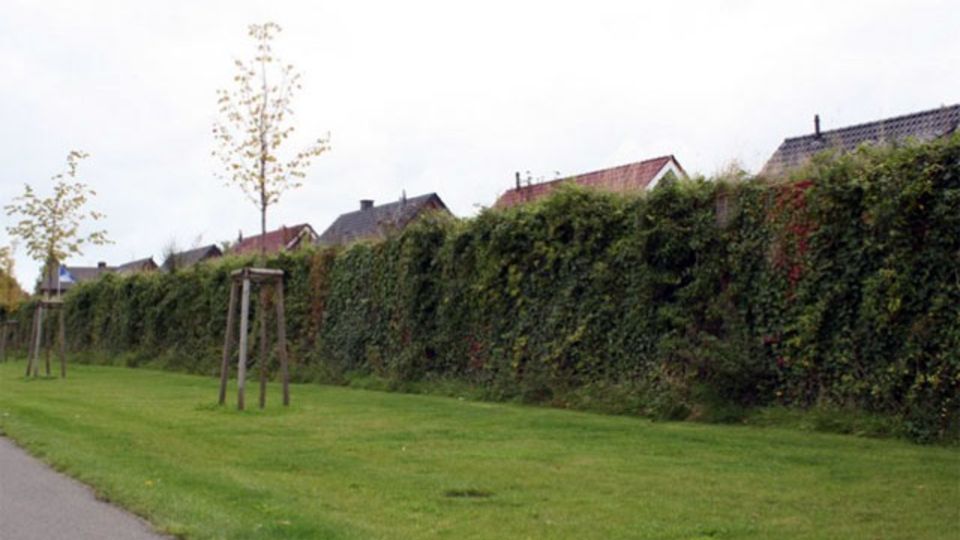 ökologische Lärmschutzwand