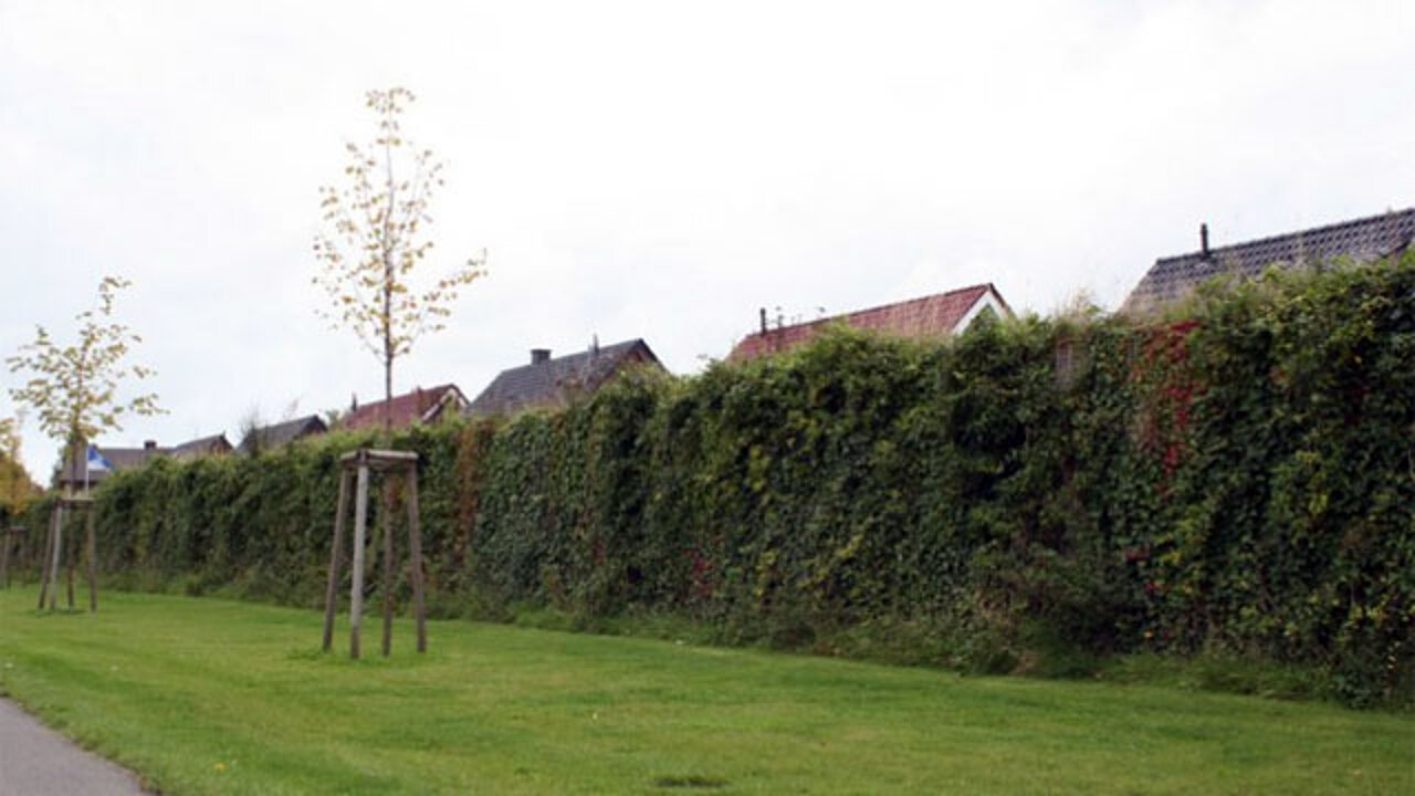 ökologische Lärmschutzwand