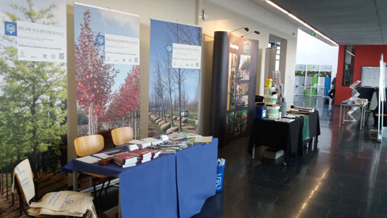 Baumforum Erfurt
