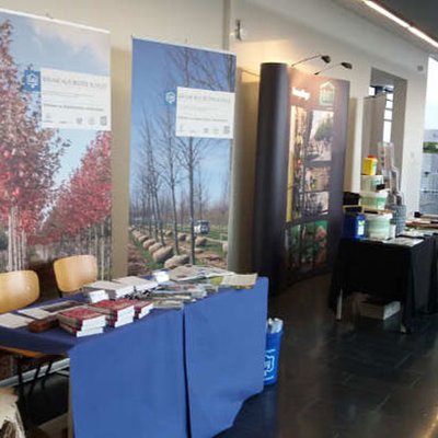 Baumforum Erfurt