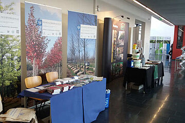 Baumforum Erfurt