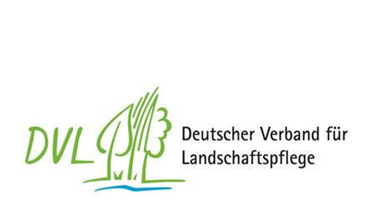 DVL Logo