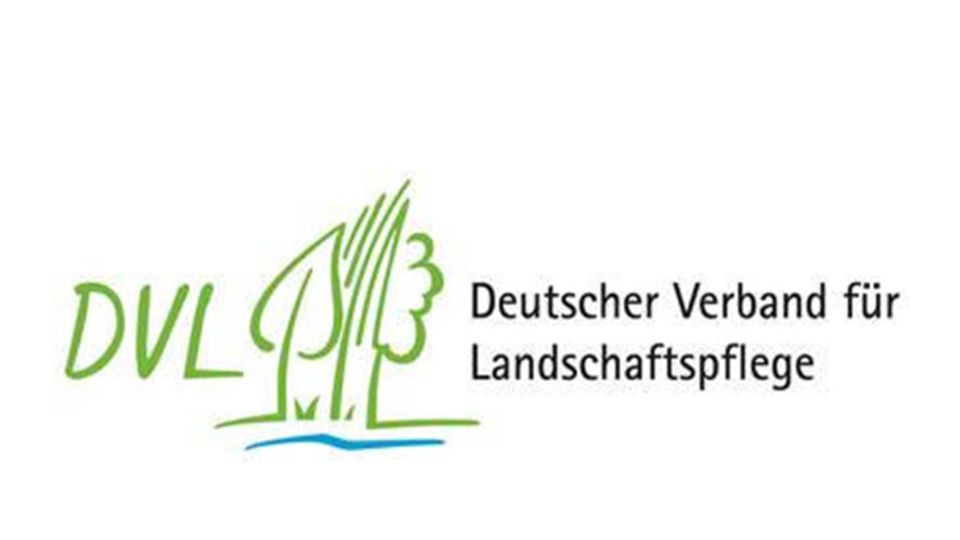 DVL Logo