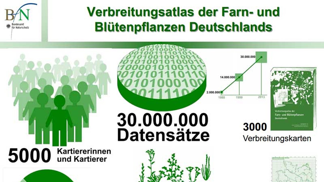 Verbreitung Grafik