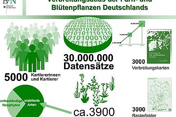Verbreitung Grafik