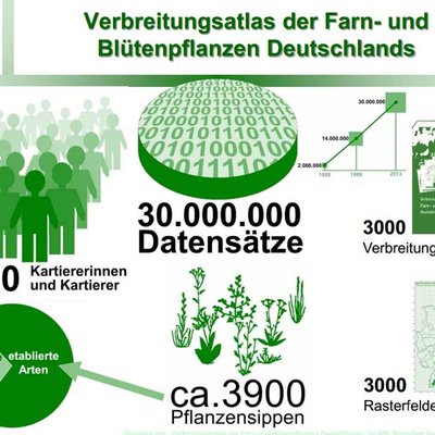 Verbreitung Grafik