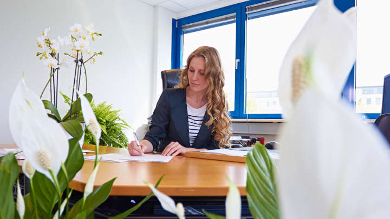 Büropflanzen
