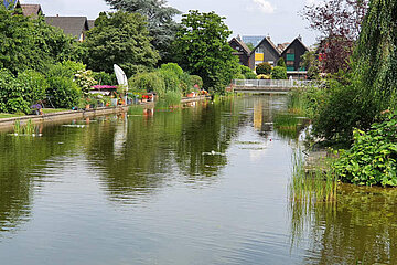 Image-13219