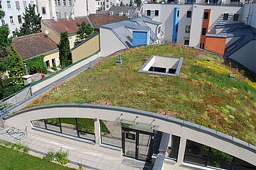 Bauwerksbegrünung