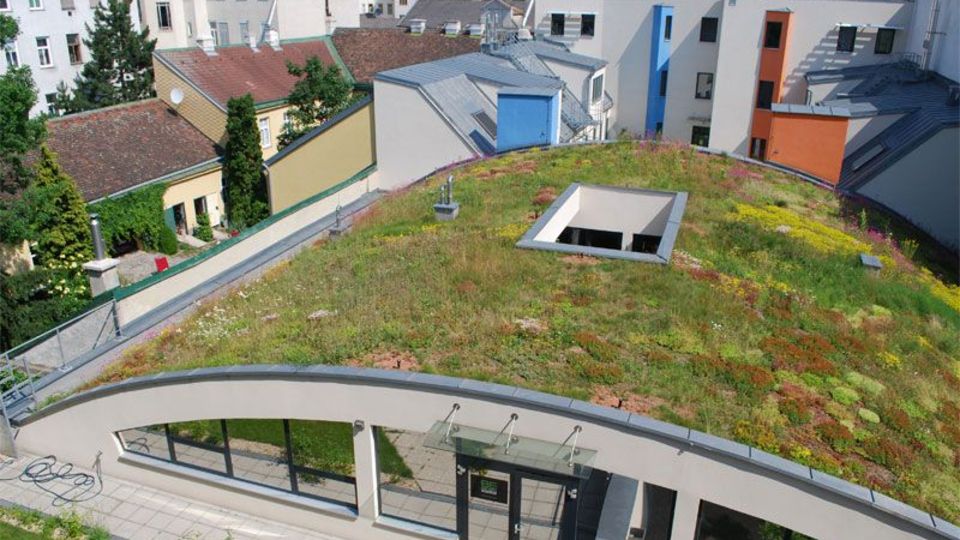 Bauwerksbegrünung