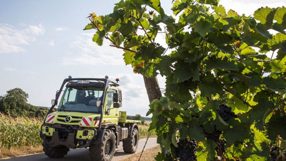 Unimog