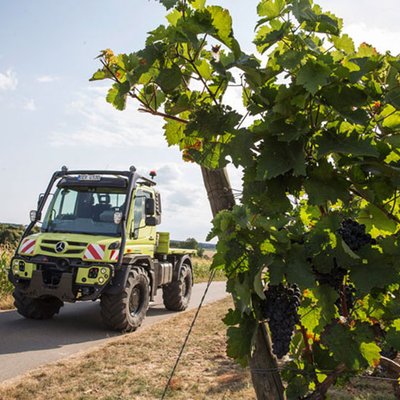 Unimog