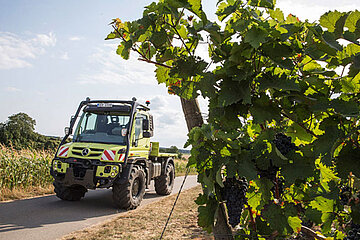 Unimog