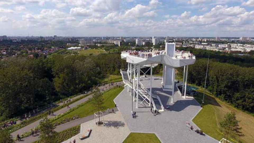 Der Wolkenhain