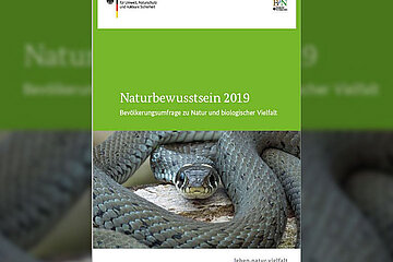 Naturbewusstseinsstudie
