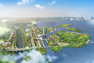 Image-13886