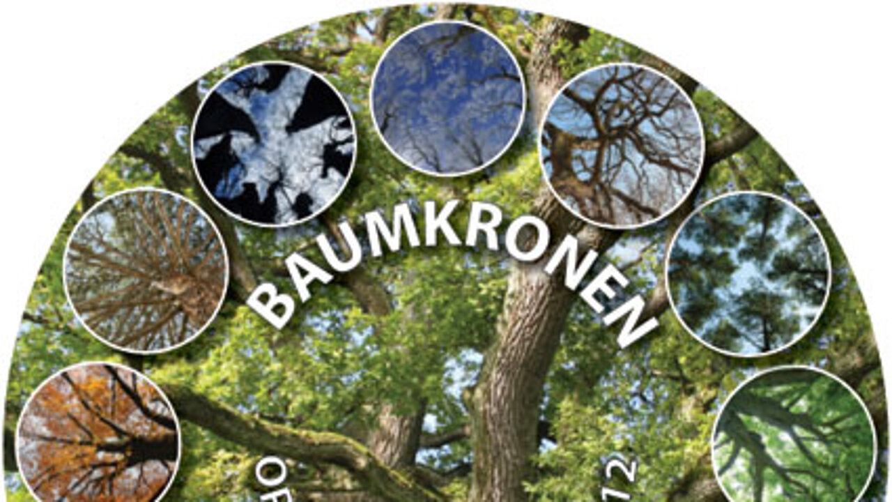 Baumkalender 2012