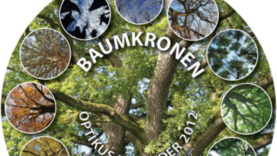Baumkalender 2012