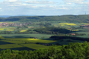 Hoher Habichtswald