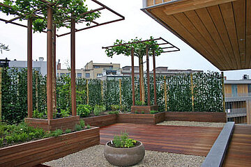 Hecke am laufenden Meter