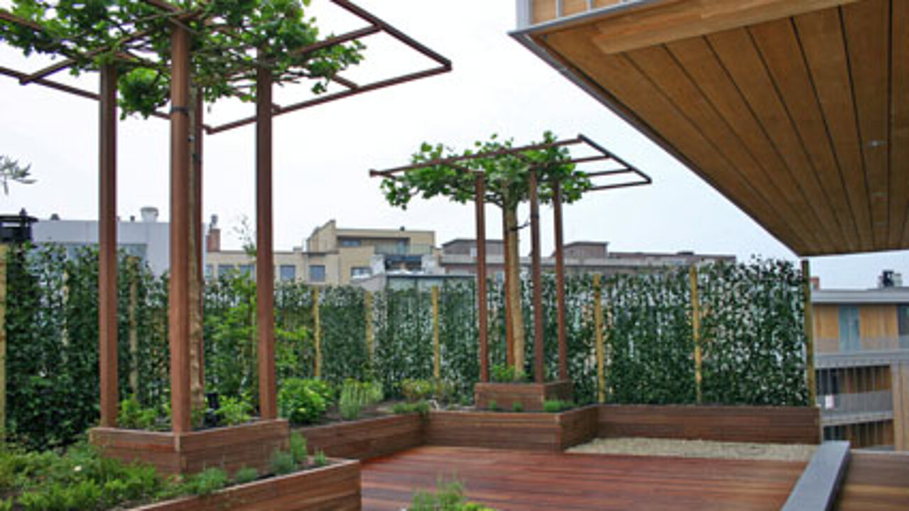 Hecke am laufenden Meter