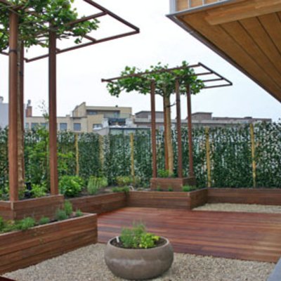 Hecke am laufenden Meter