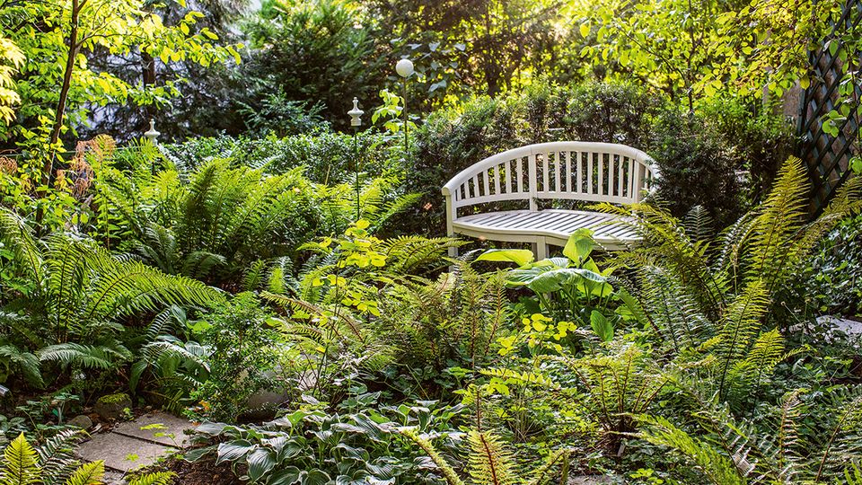 Wilder Garten