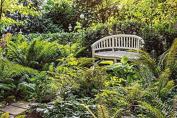 Wilder Garten