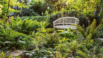 Wilder Garten