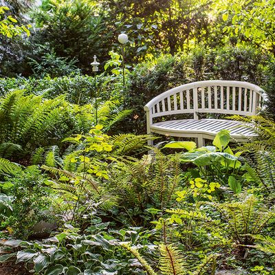 Wilder Garten