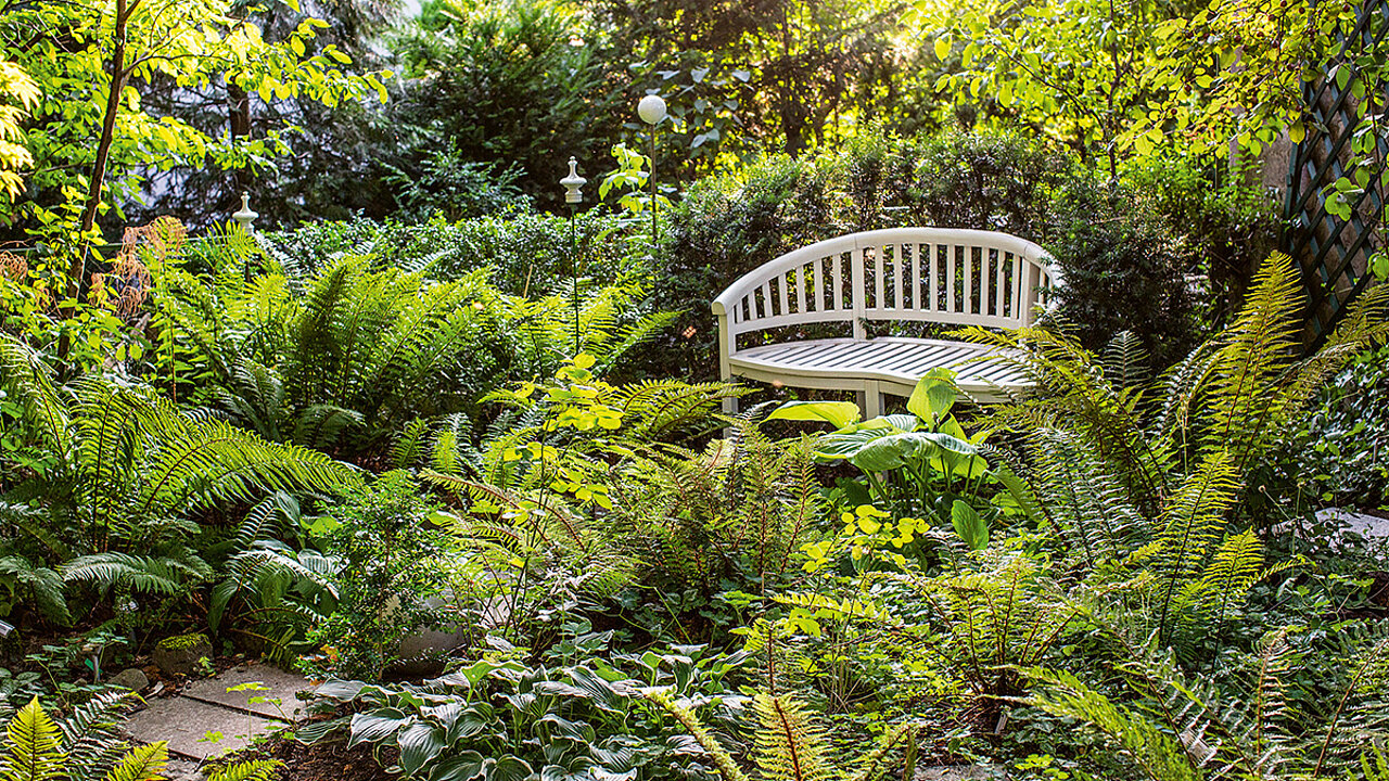 Wilder Garten