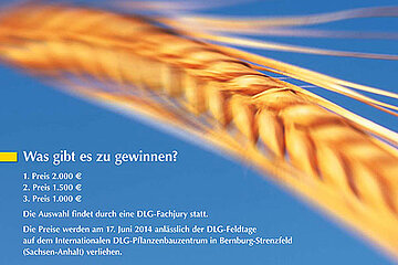 Flyer Wilhelm-Rimpau-Preis