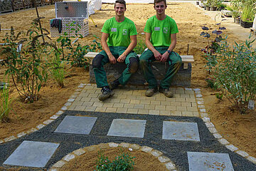 Image-13360