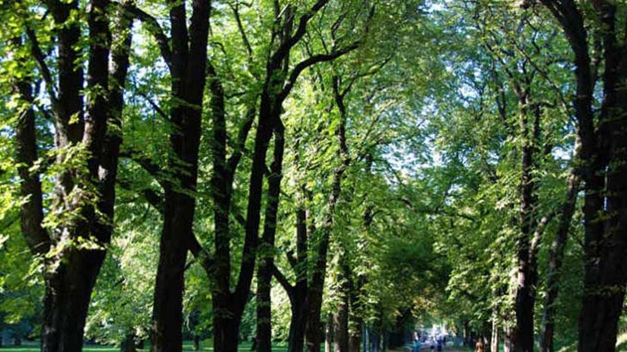 image-9300