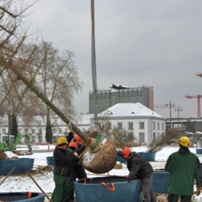 Schloss in Koblenz