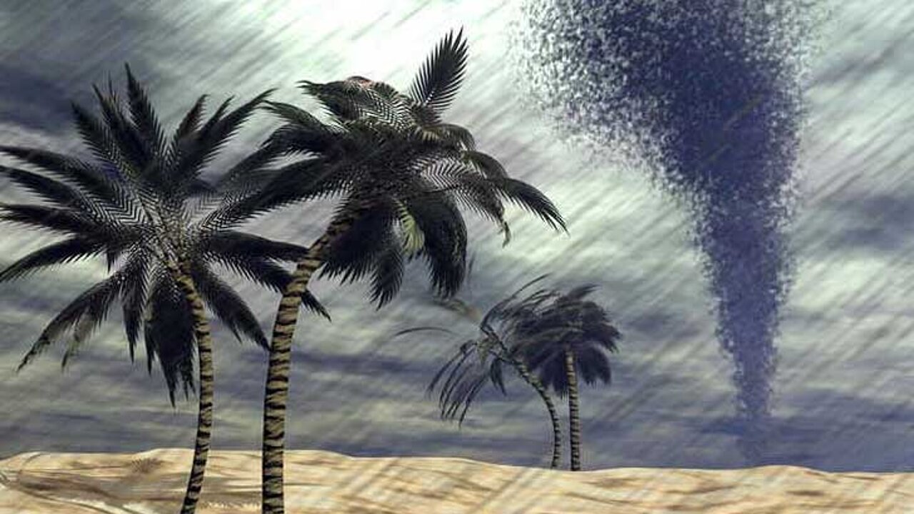 Regen für die Wüste