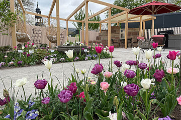 Themengarten