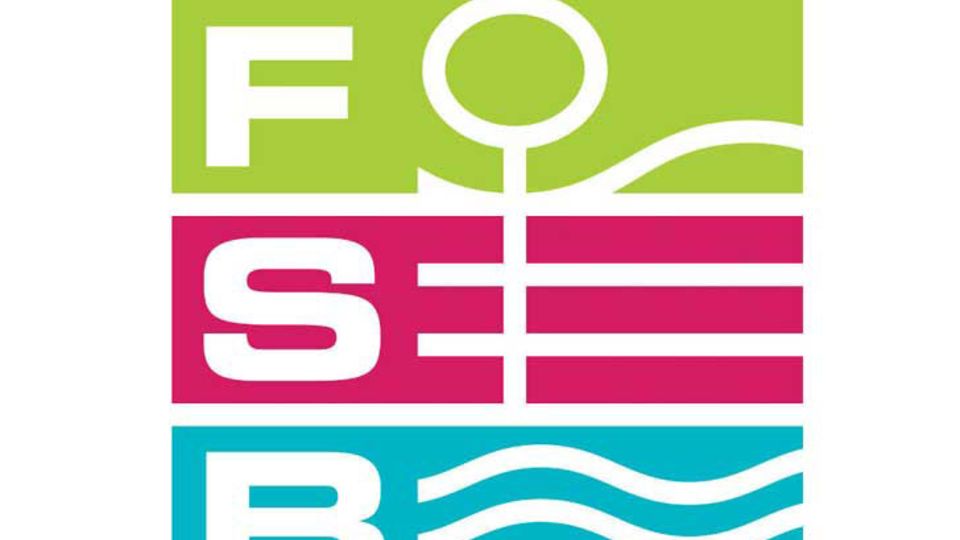 FSB Logo