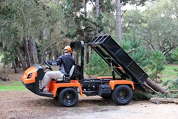 Cushman Truckster XD