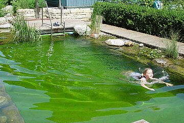 Schwimmteich