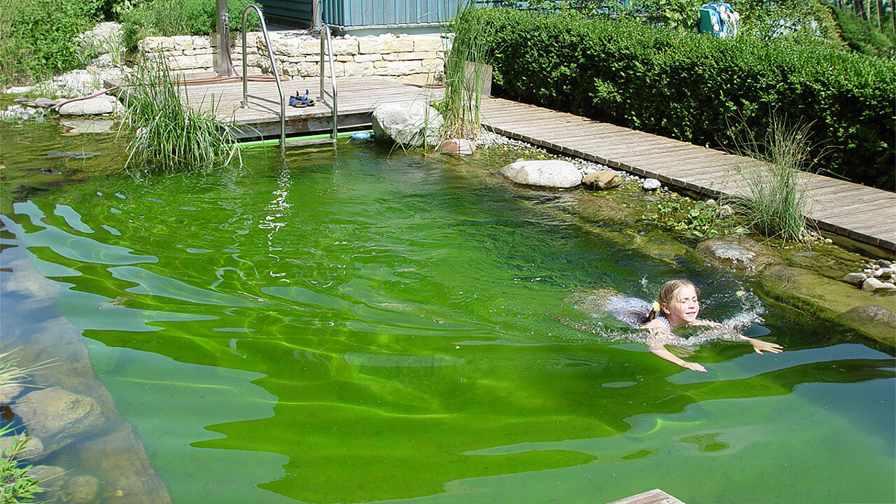 Schwimmteich