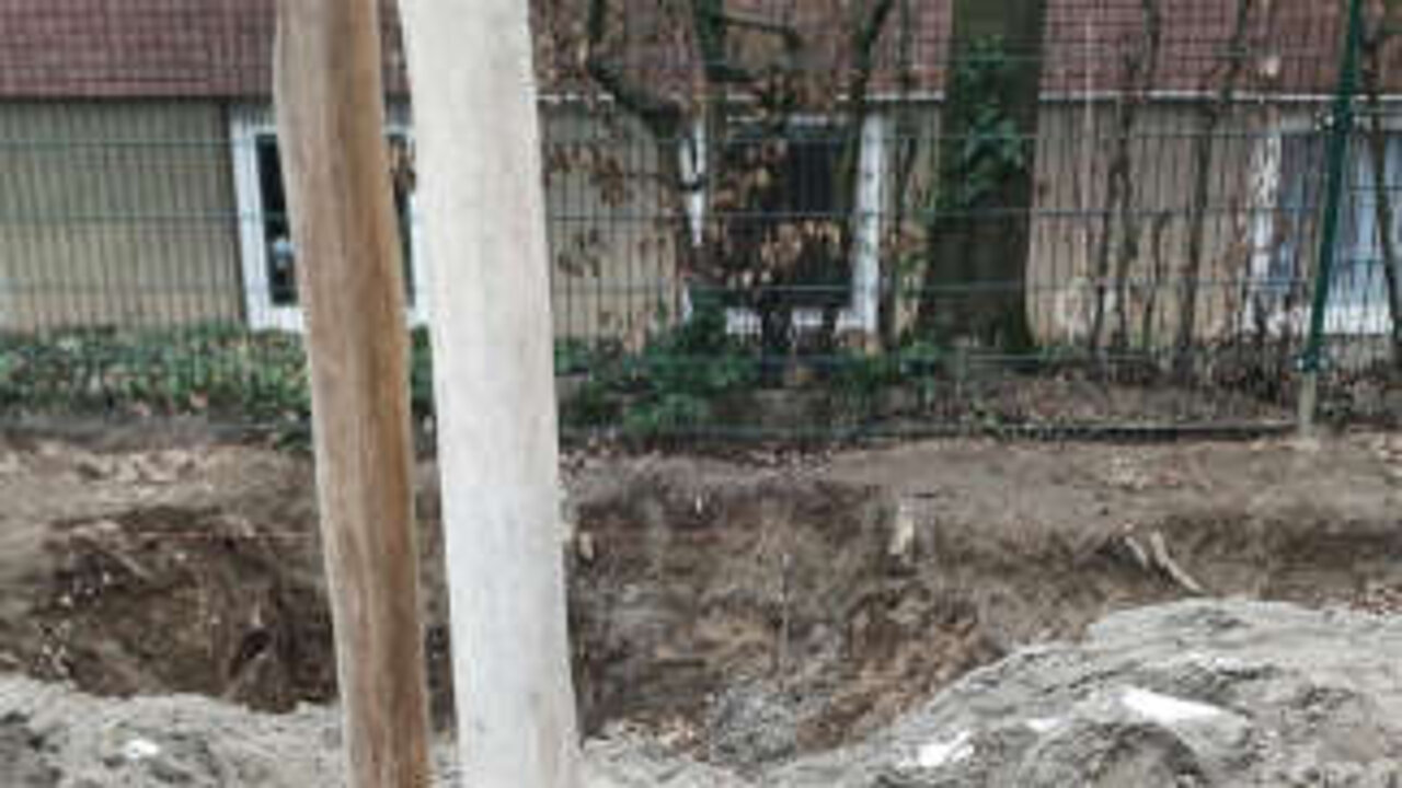 image-16294