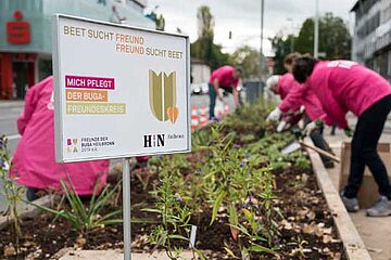 Die grüne Offensive
