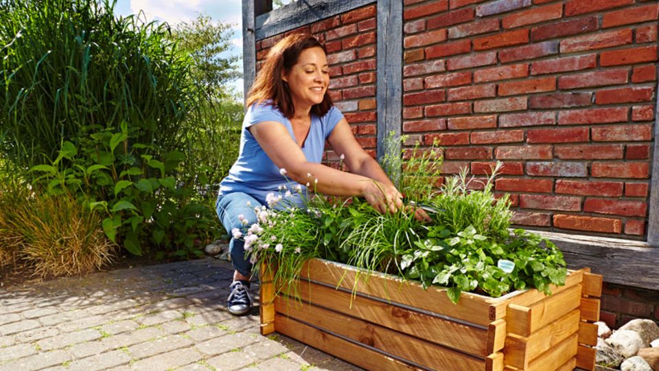 Bio Mini-Garten Erde