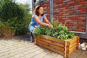 Bio Mini-Garten Erde