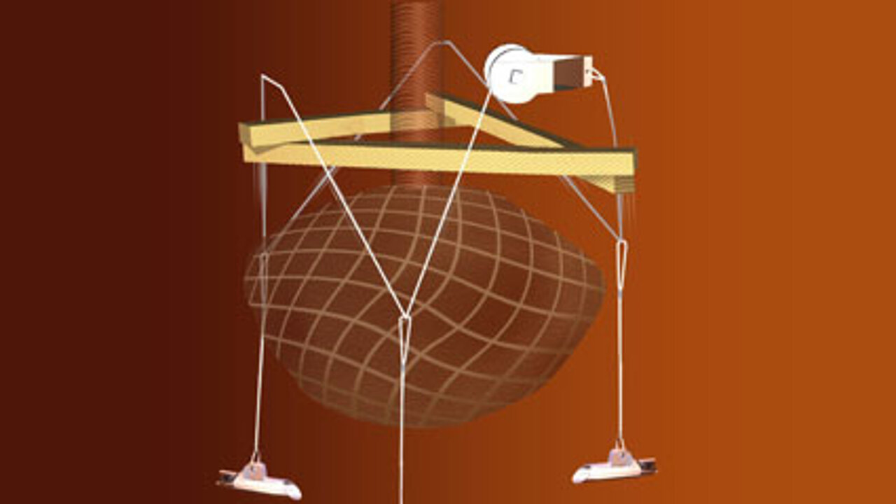 Duckbill-System