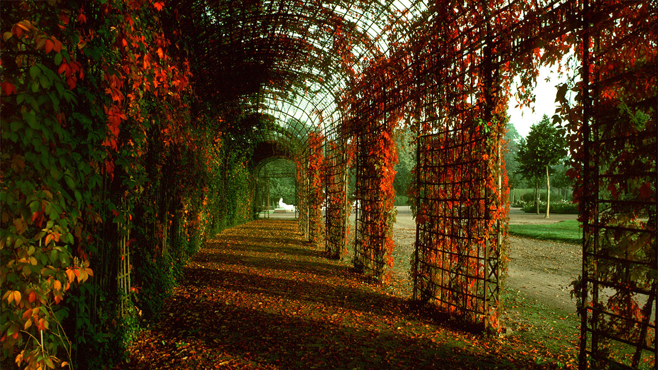 Schlossgarten Schwetzingen