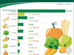 BZL auf einen Blick: Gemüseanbau in Deutschland 2022