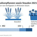 Zierpflanzen 2021: 15 % weniger Betriebe in Deutschland als 2017