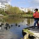 BUGA Rostock 2025 - Bürgerschaft gibt grünes Licht für die Bundesgartenschau